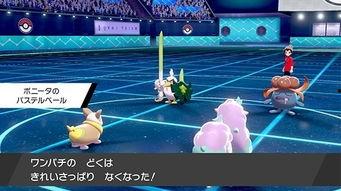 伽勒尔最新爆料,最新爆料揭示神秘事件内幕